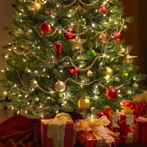 QU� VESTIMENTA USAR EN NAVIDAD SEG�N EL FENG SHUI