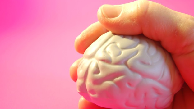 EL ESTILO DE VIDA POCO SALUDABLE ENVEJECE EL CEREBRO