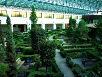 HOTELES DE LUJO PARA VACACIONAR EN TOLUCA