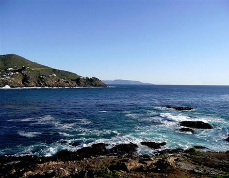 EL TSUNAMI LLEGA A ENSENADA