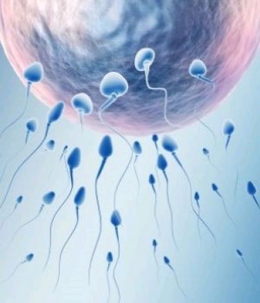 SE ENTERA QUE EL PADRE DE SU HIJO TIENE ¡150 HIJOS!