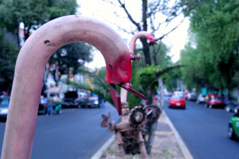 LUGARES EX�TICOS EN DF PARA PASEAR EN VACACIONES
