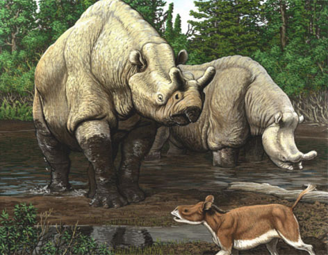 CAMBIOS CLIM�TICOS EVOLUCIONARON A MAM�FEROS