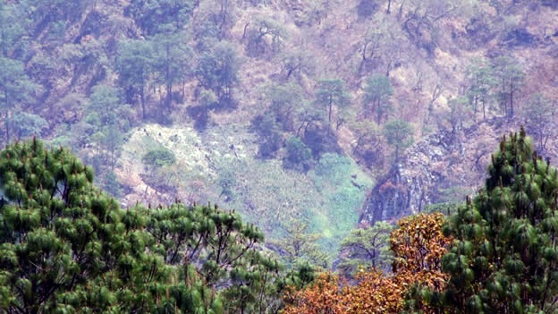 HABITANTES DE DURANGO HUYEN TRAS AMENAZAS DE GRUPO ARMADO