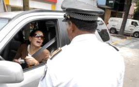 OPCIONES PARA CONSULTAR MULTAS VEHICULARES