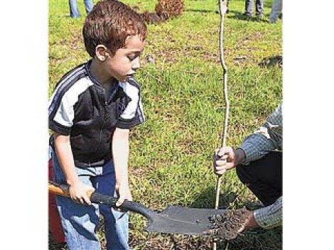 M�XICO CUARTO PUESTO EN REFORESTACI�N