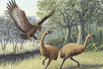 LAS ESPECIES ANIMALES EXTINTAS
