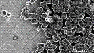 COMPUTADORAS DEL FUTURO FABRICADAS CON BACTERIAS