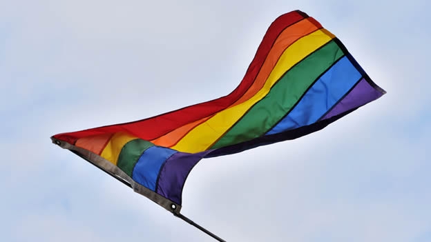 EU REGULAR� TERAPIA PARA NI�OS HOMOSEXUALES
