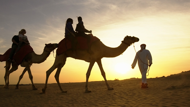 ISLAMITAS OFRECEN CAMELLOS A CAMBIO DE OBAMA Y CLINTON