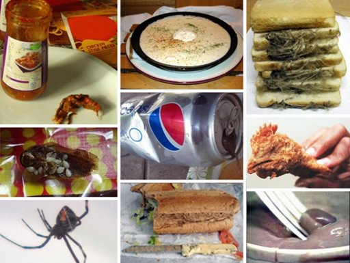 LAS PEORES COSAS ENCONTRADAS EN UN PLATO DE COMIDA