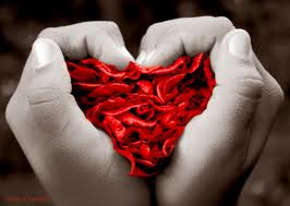 LOS DISTINTOS TIPOS DE AMOR QUE EXISTEN