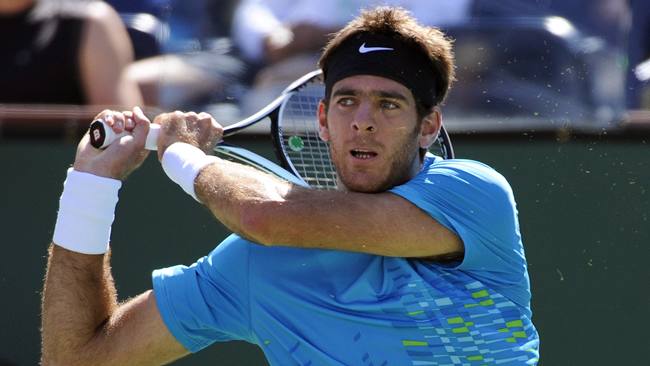 DEL POTRO VUELVE A LA COPA DAVIS
