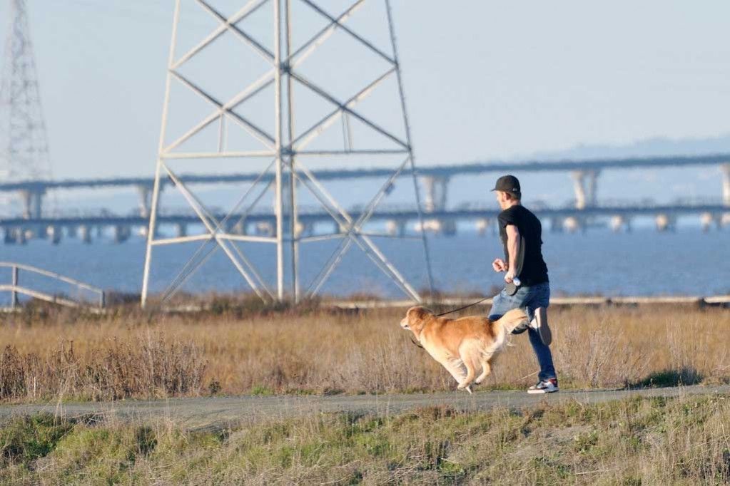 JUGAR CON TU PERRO PROTEGE SU SALUD
