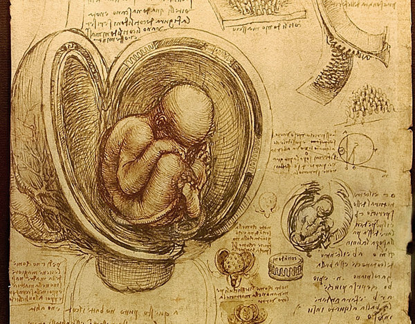 CONOCE LA TERROR�FICA OBSESI�N DE LEONARDO DA VINCI