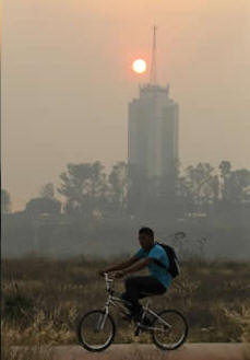 �C�MO ENFRENTAR UN INCENDIO FORESTAL?