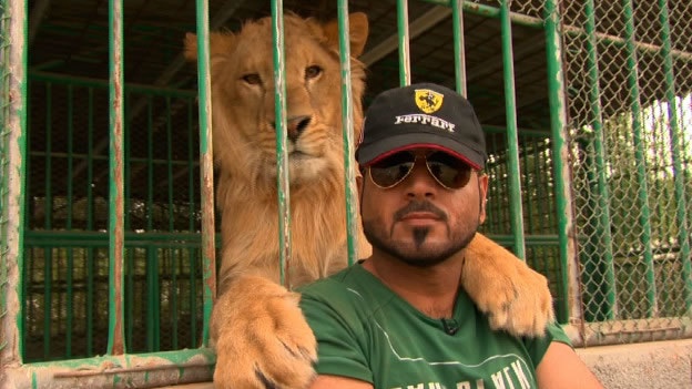 �LOS ANIMALES SALVAJES SE PUEDEN VOLVER MASCOTAS? 