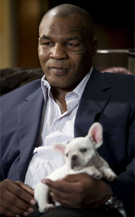 MIKE TYSON ESTRENA OBRA DE TEATRO EN BROADWAY