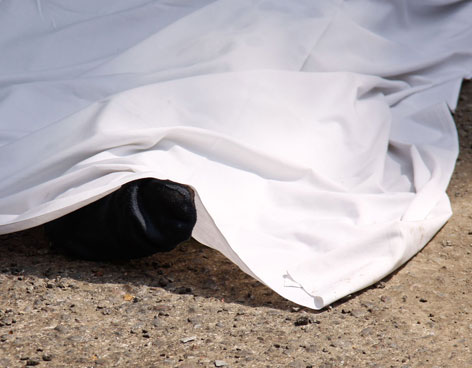 UN REO MUERTO TRAS RI�A EN PENAL DE TORRE�N