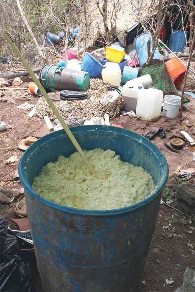 DROGAS NUEVAS, LA NUEVA AMENAZA DEL NARCO