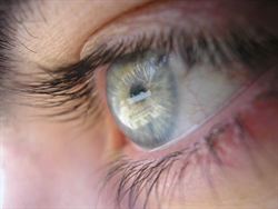 CONSECUENCIAS DEL USO DE MAQUILLAJE EN LOS OJOS