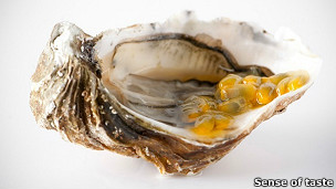 GASTRONOM�A MOLECULAR - COMBINACI�N DE TEXTURAS Y SABORES
