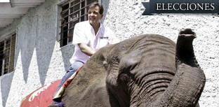 CANDIDATO DEL PARTIDO VERDE INICIA CAMPA�A SUBIDO A UN ELEFANTE