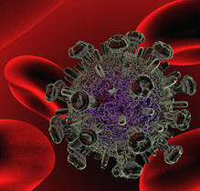 �C�MO SE PROPAGA EL VIRUS DEL SIDA? C�MO ACT�A EL VIH