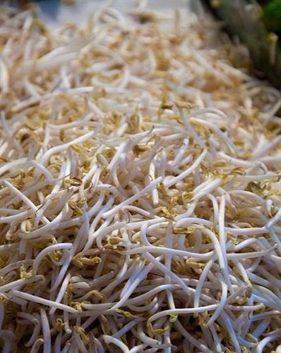 EL CONSUMO DE SOJA EVITAR�A EL C�NCER DE MAMA
