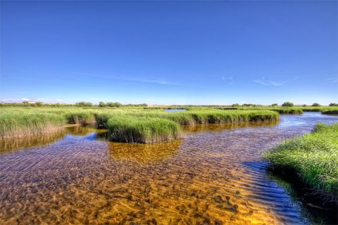 CONOCE LOS PAÍSES MÁS ECOLÓGICOS DEL MUNDO