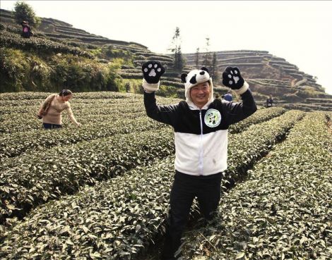 HACEN T� VERDE CON EXCREMENTO DE OSO PANDA