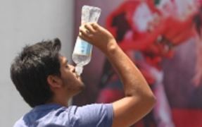 C�MO PREVENIR LOS MALES QUE CAUSA EL CALOR