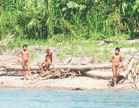 HALLAN TRIBU DESCONOCIDA EN LA SELVA DE PER�