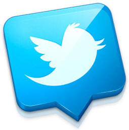 TWITTER ALMACENA DATOS DE USUARIOS SIN PERMISO