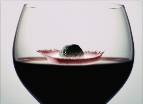 HACEN VINO CON METEORITO DE MILLONES DE A�OS