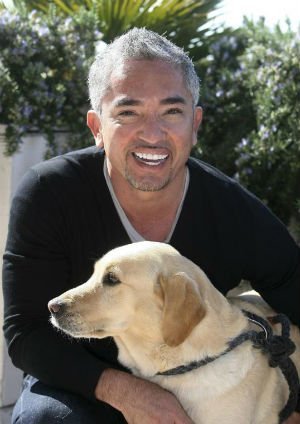 Video insólito: el 'encantador de perros' mordido por un labrador