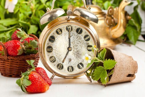 Dieta Paleolítica - Comer como cavernícola para adelgazar