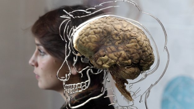 ¿Una neurocirugía podría curar los trastornos alimenticios?