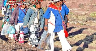 Liberan a indígenas encarceladas por posesión de peyote