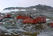 Curiosidades: Musgo retorna a la vida después de 1.500 años congelado Curiosidades: Musgo retorna a la vida después de 1.500 años congelado