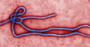 Detectan nuevos casos de ébola en Guinea