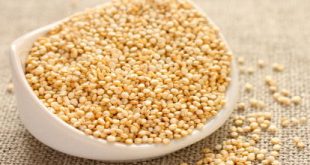 Conoce los beneficios de la quinoa