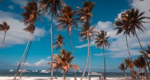 Los cinco imperdibles de Punta Cana