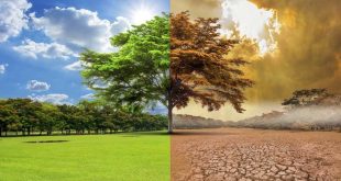 ¿Las mejores marcas del mundo financian la información errónea sobre el cambio climático?
