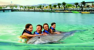 Los Cabos, un lugar para nadar con delfines
