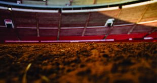 Siete curiosidades de la Plaza de Toros mexicana en su aniversario.