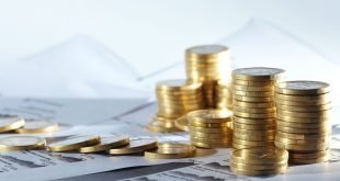 Formas para invertir tus ahorros a largo plazo