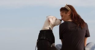 ¿Qué es el seguro de responsabilidad civil para mascotas?