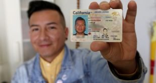 ¿En qué estados de USA se puede obtener licencia para conducir para indocumentados?